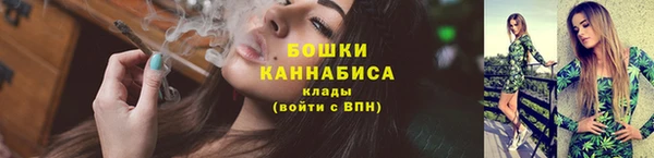 соль ск Богородск