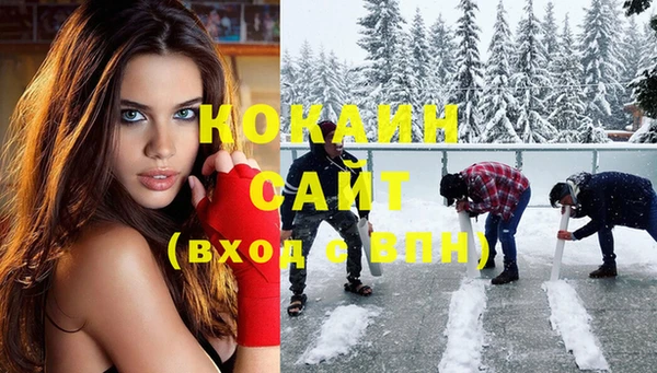 соль ск Богородск