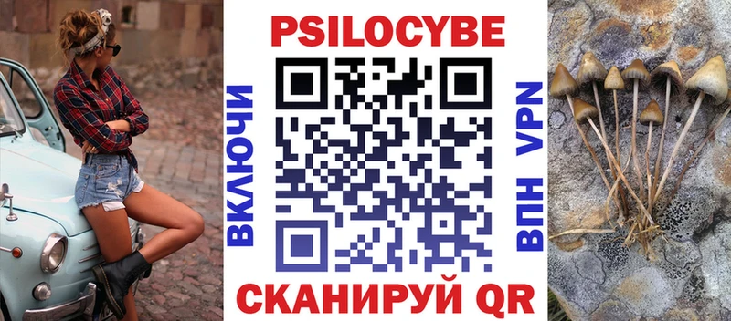 Псилоцибиновые грибы мицелий  Пионерский 