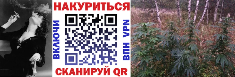 где найти наркотики  Пионерский  Каннабис ГИДРОПОН 